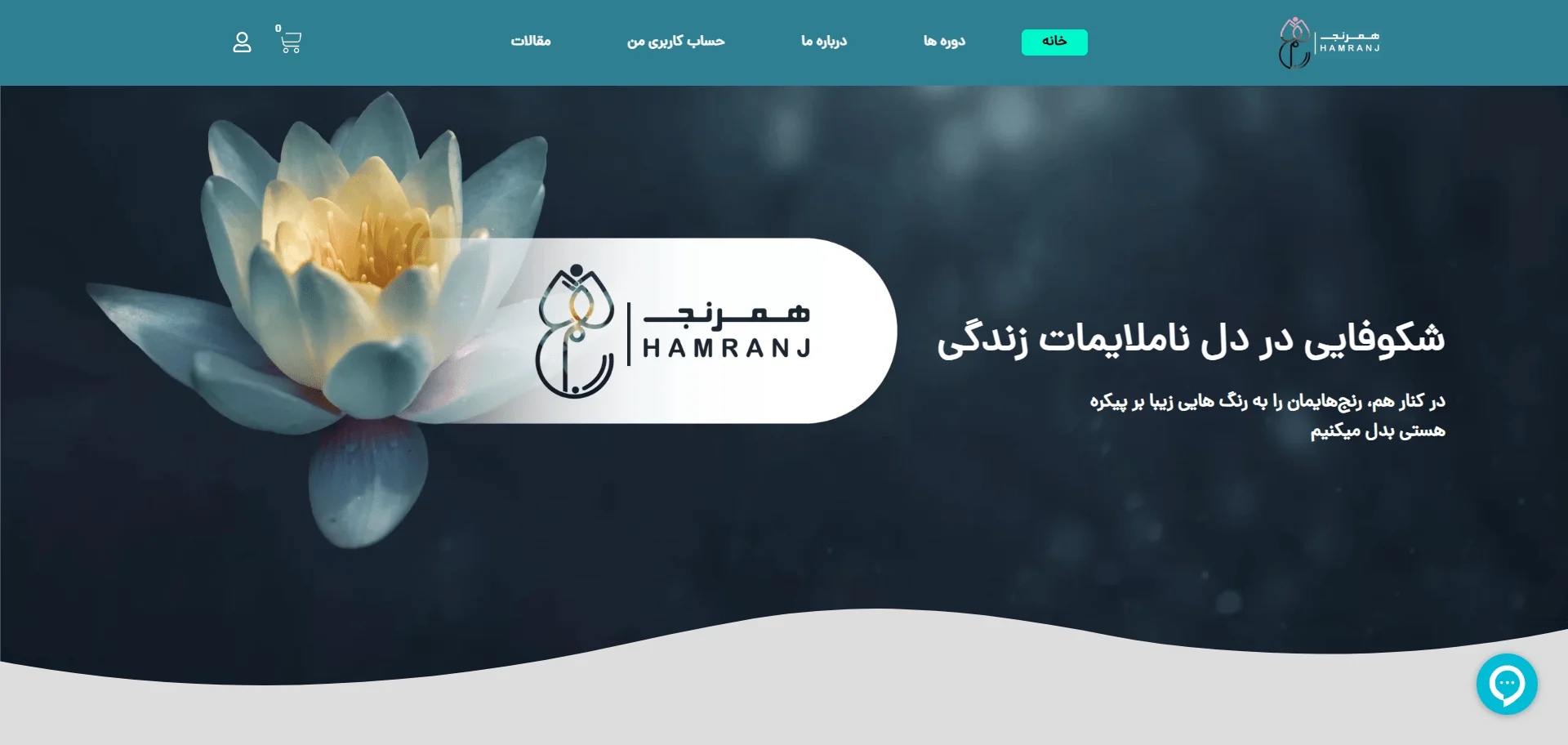 طراح سایت شیراز